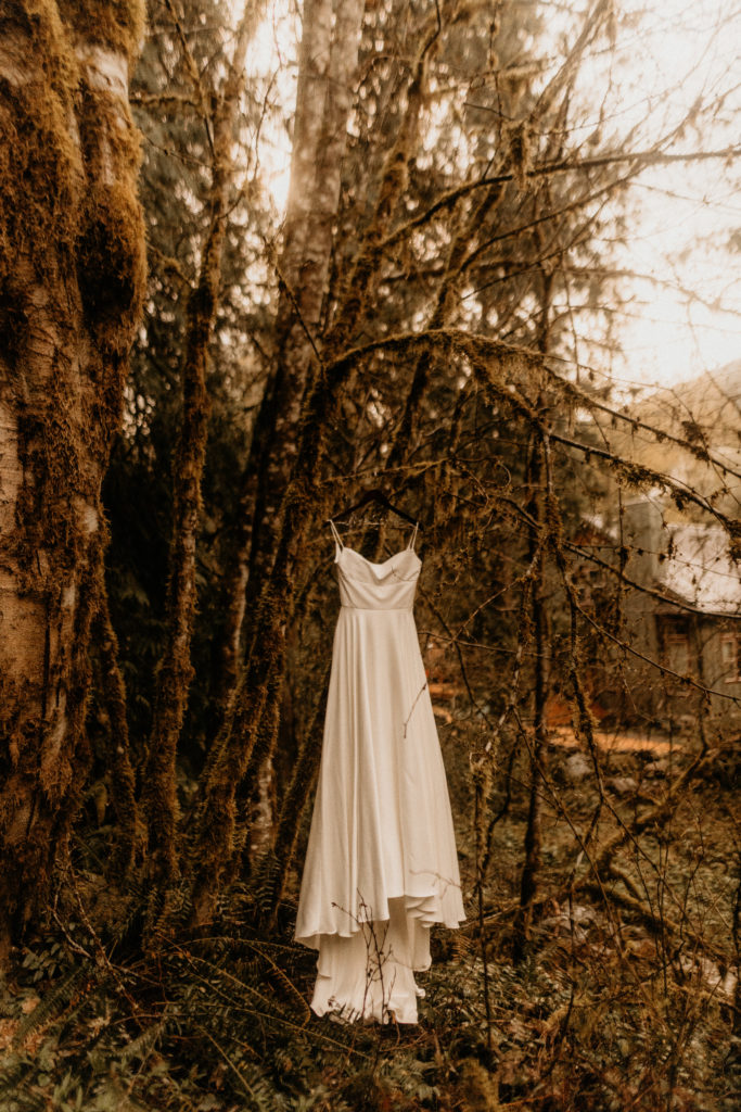 Mt hood elopement in the forest wedding dress hanging on tree