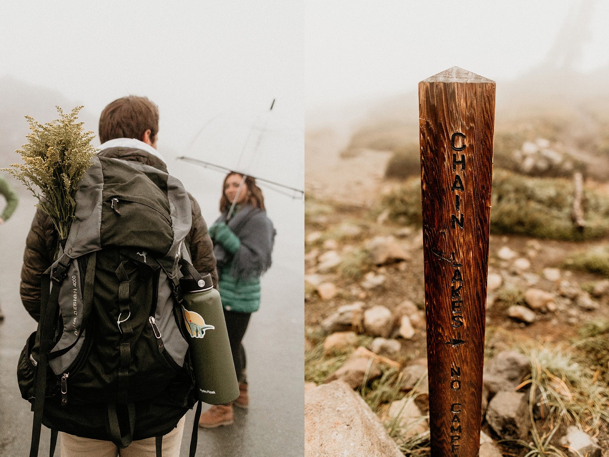 How to Elope at Mt. Baker Permits, Best Locations, & More