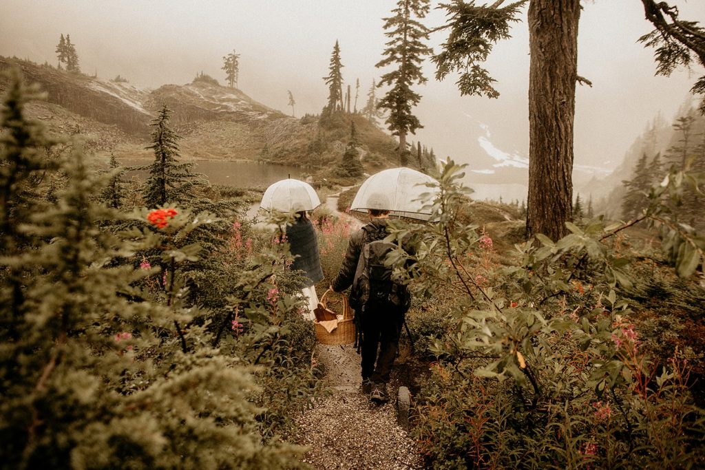 How to Elope at Mt. Baker Permits, Best Locations, & More