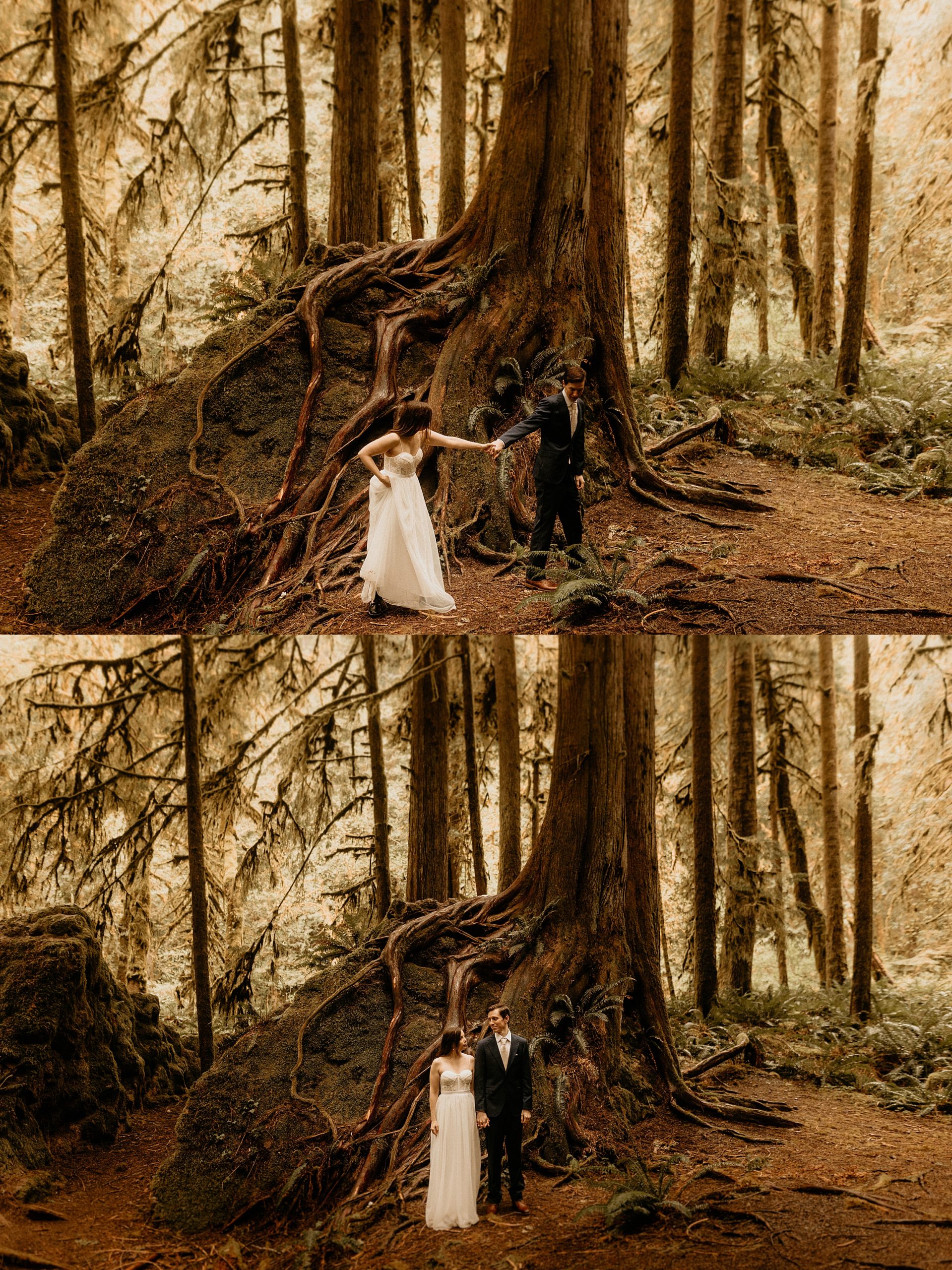 bride and groom holding hands forest landscape


