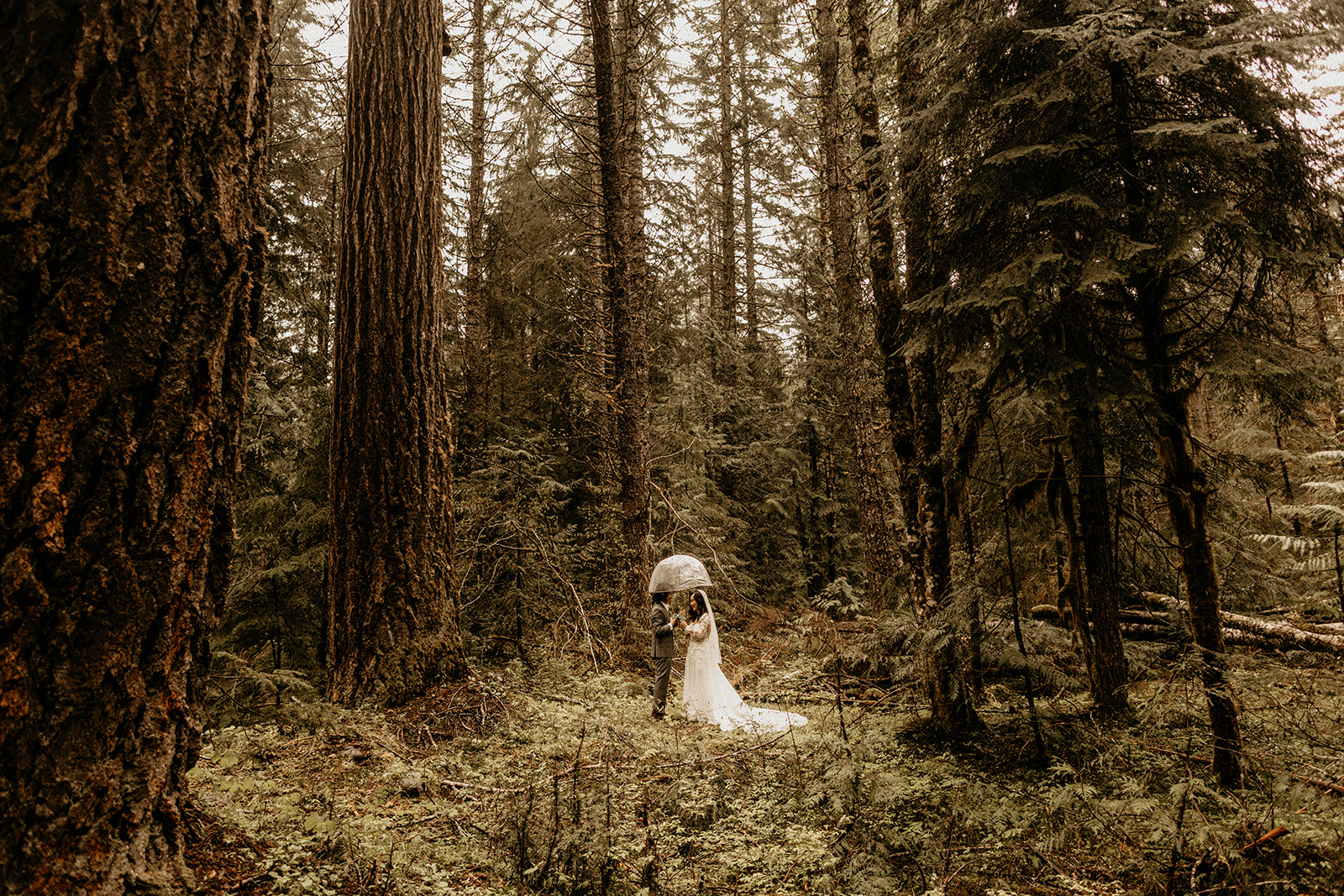 bride and groom standing under umbrella forest landscape
