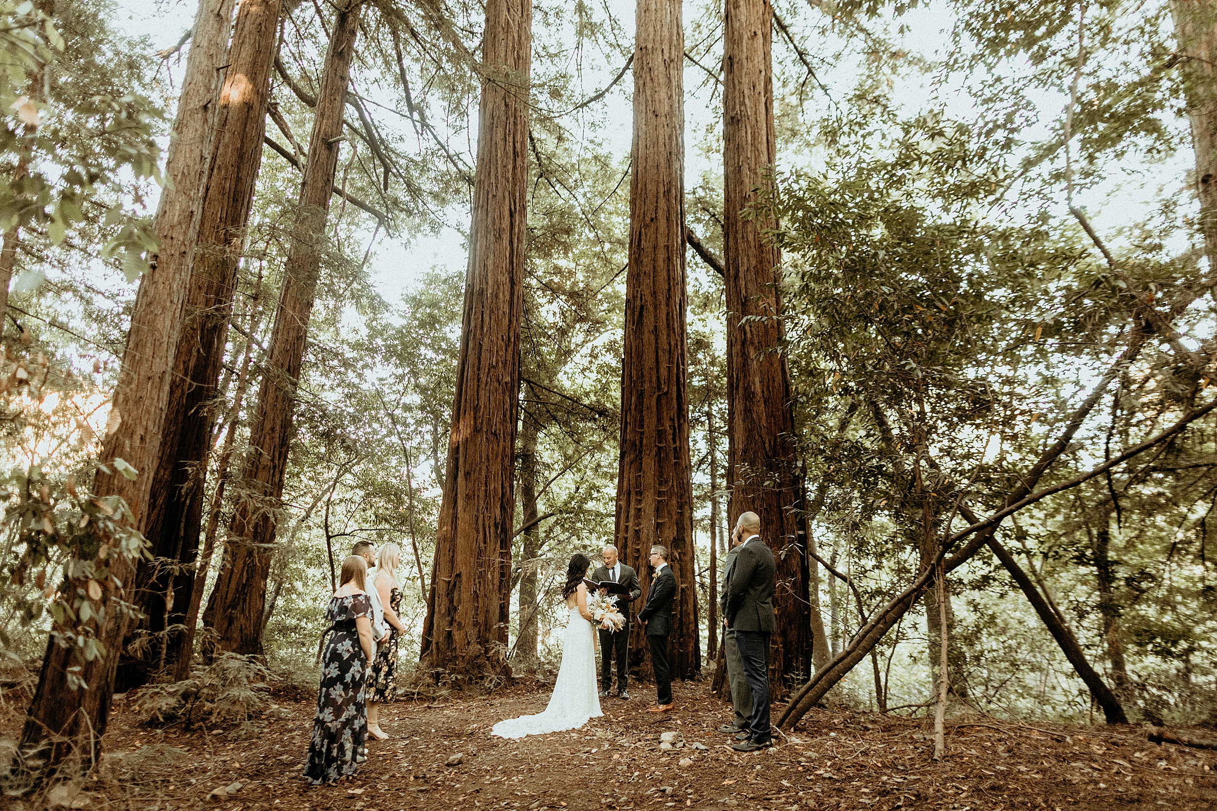 bride and groom eloping pfeiffer big sur state park forest landscape 