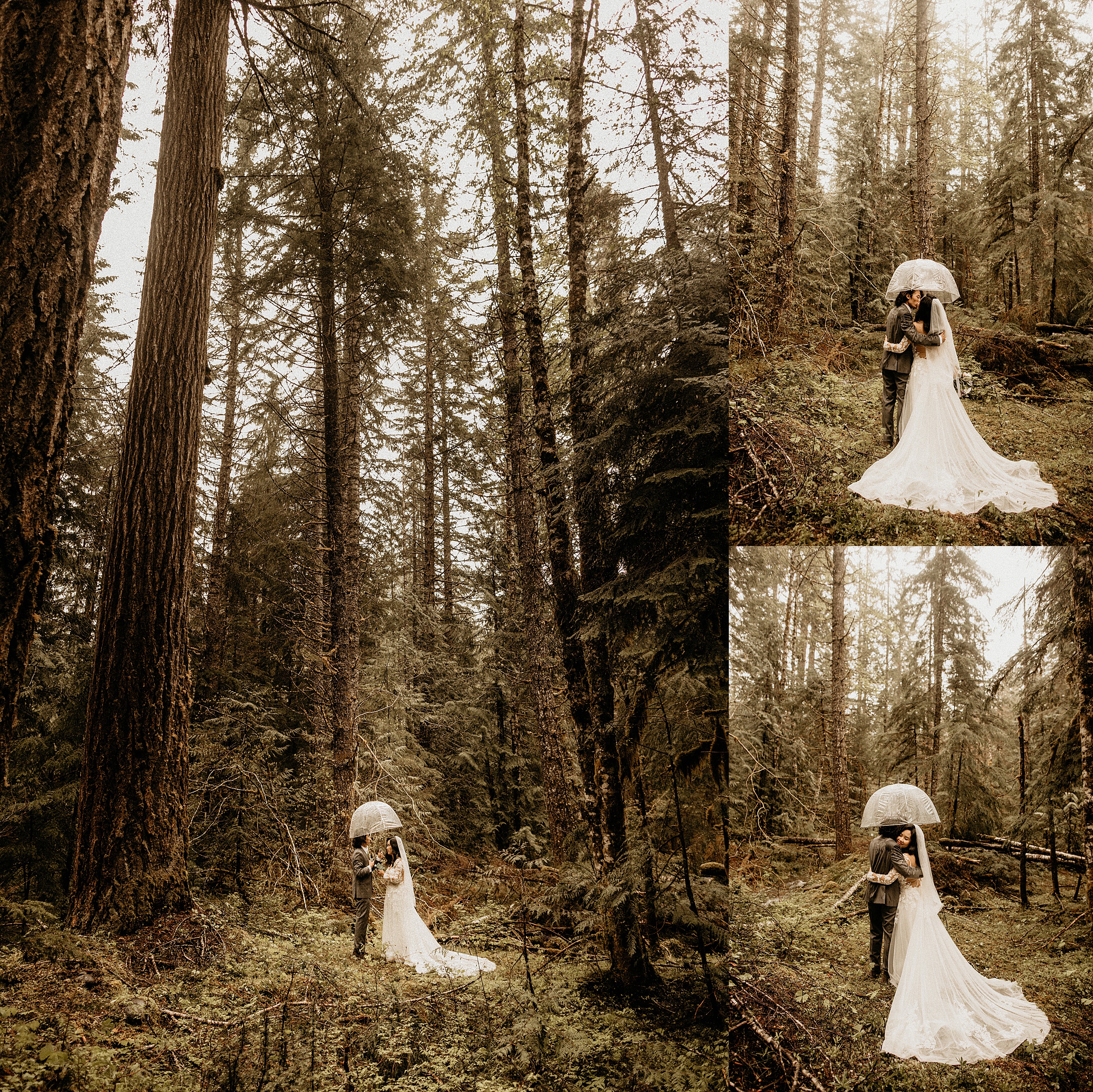 bride and groom standing together forest landscape
