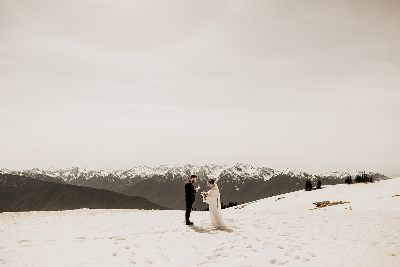 hurricane ridge elopement