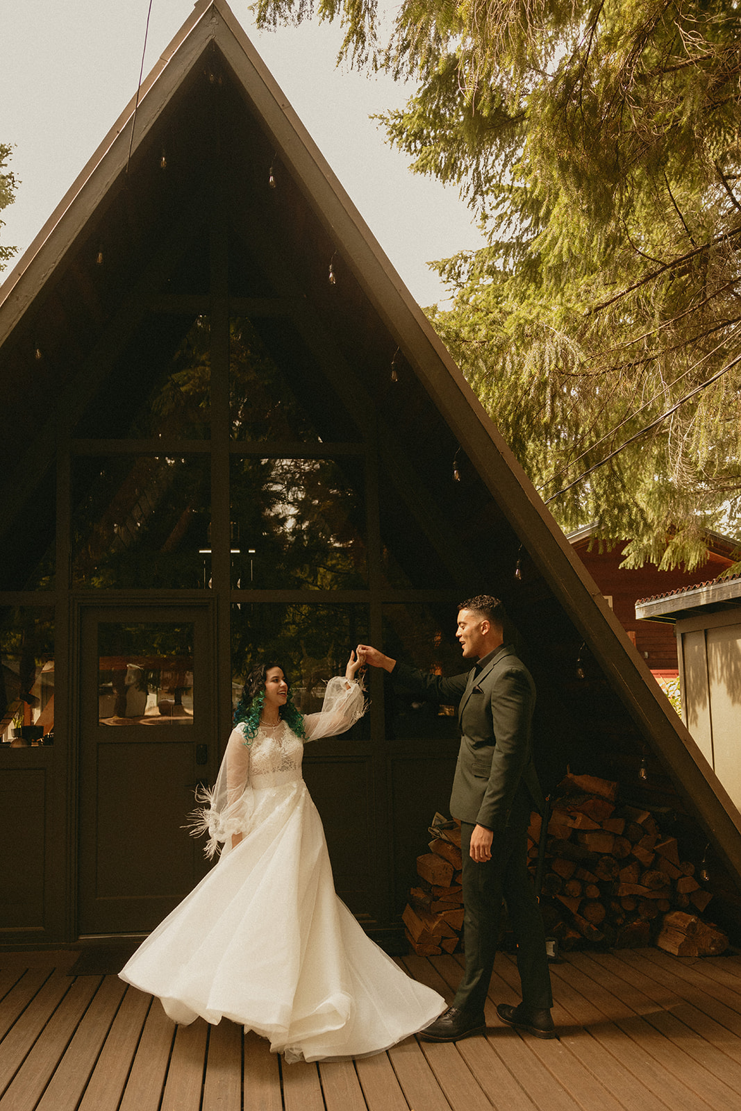 mt rainier a frame cabin 