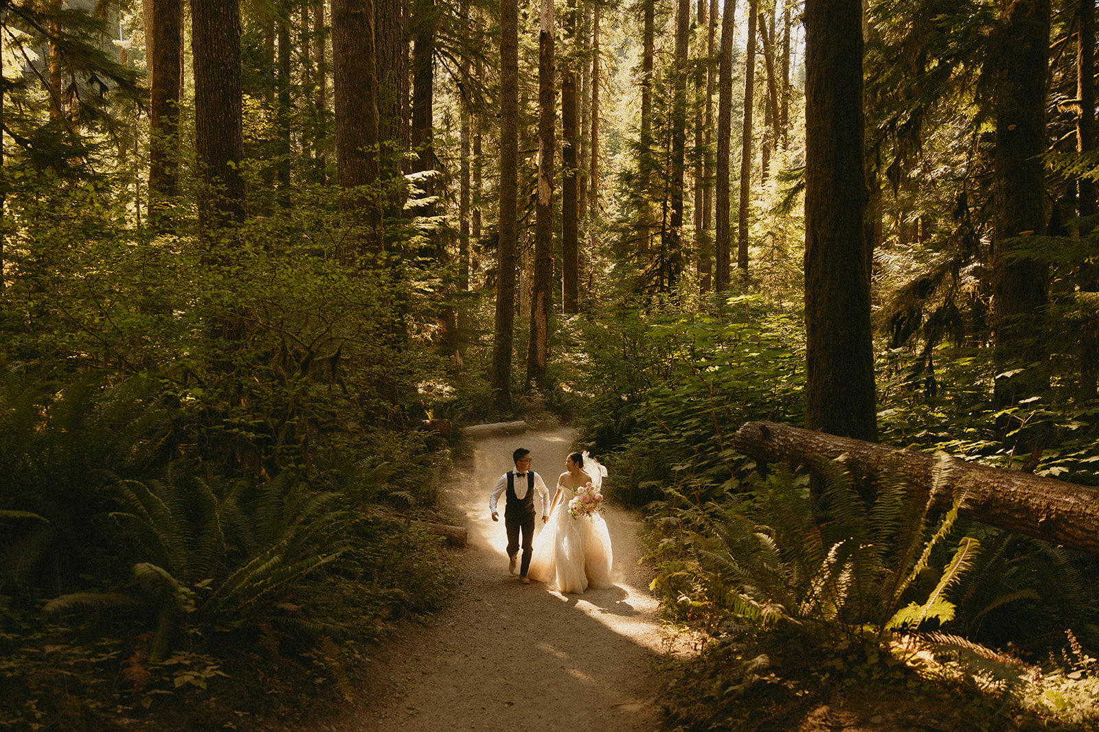 Mt rainier elopement in the forest 